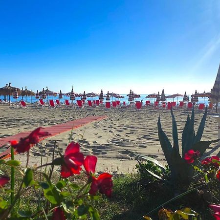 Hotel Silvi Silvi Marina Dış mekan fotoğraf