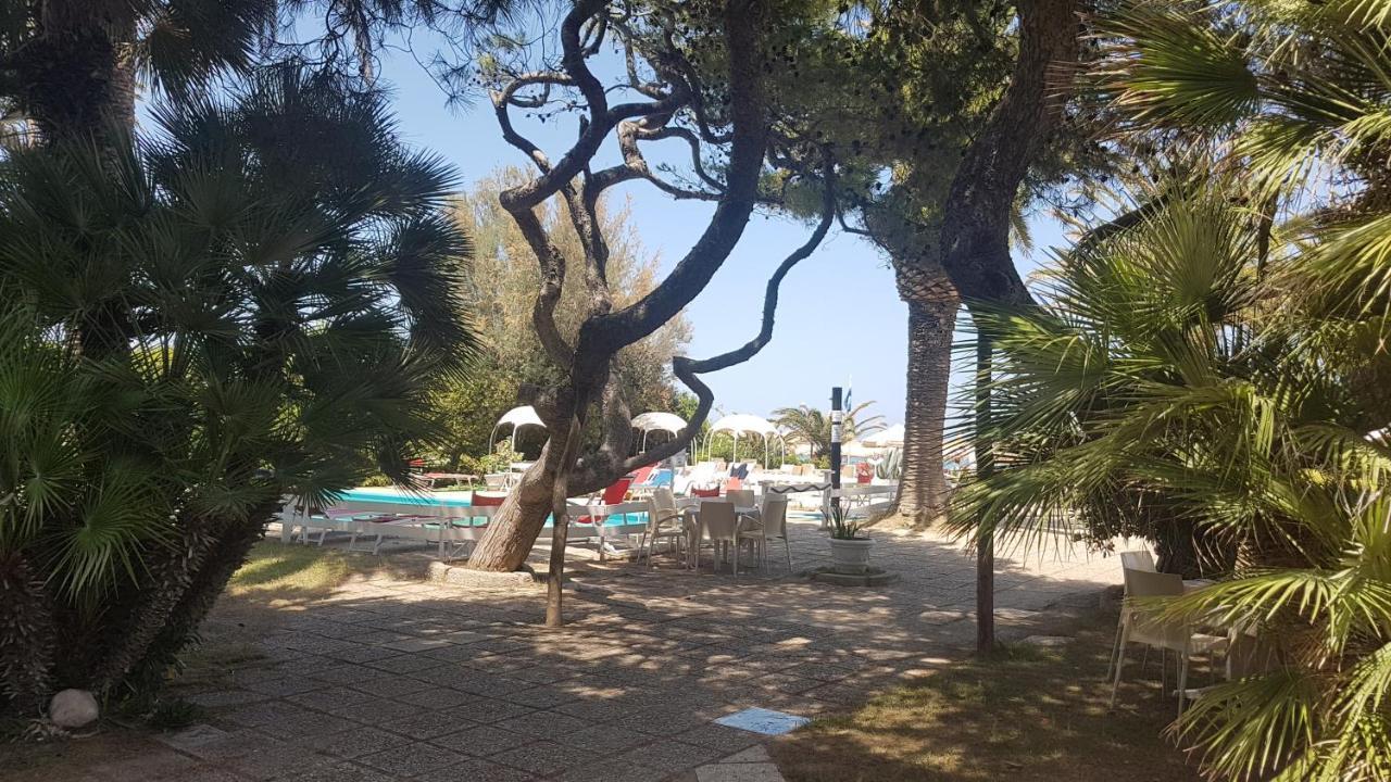 Hotel Silvi Silvi Marina Dış mekan fotoğraf