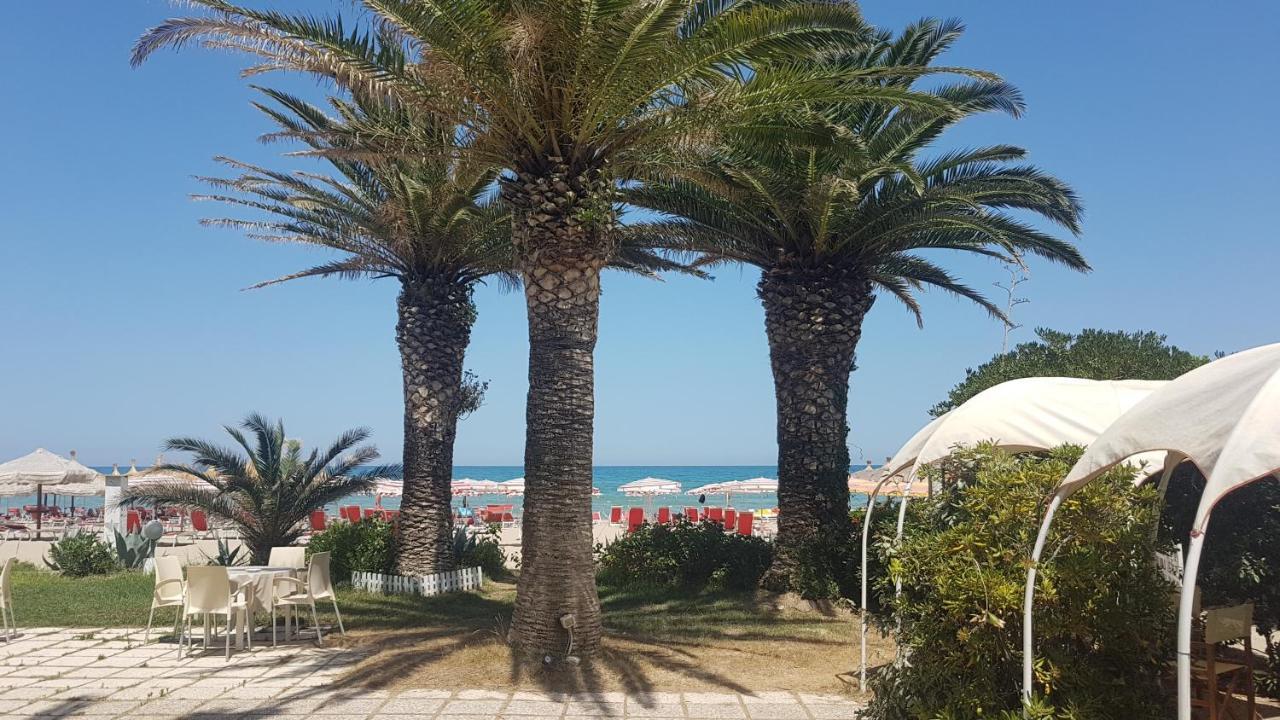 Hotel Silvi Silvi Marina Dış mekan fotoğraf
